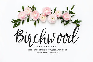 Birchwood Calligraphy Font