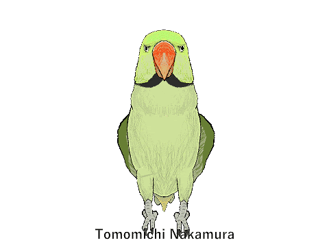 印刷可能 インコ 羽切り インコ 羽切り やり方