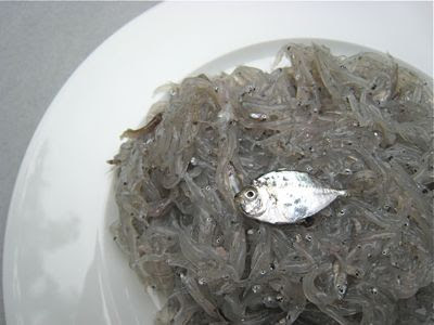 Its english name is slender ponyfish. Market Manila Small Fish With Beady Eyes General