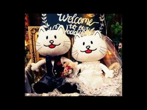 最高のbump Of Chicken ニコル 壁紙 最高の花の画像