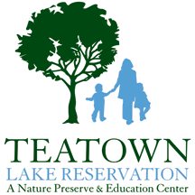 Teatown Logo 3x3