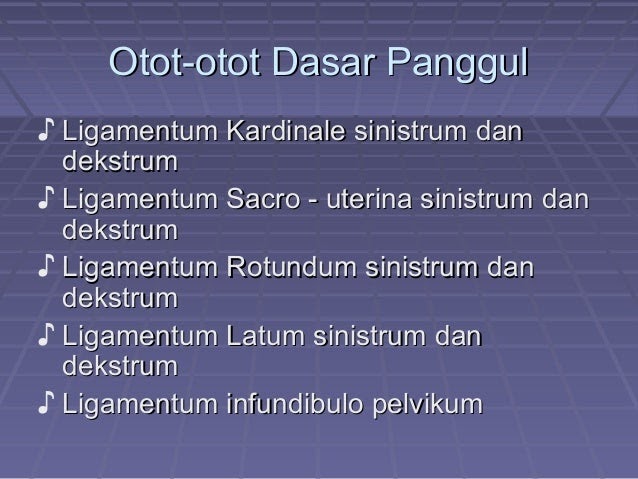 Ukuran Diameter Rahim  Normal  Soalan bw