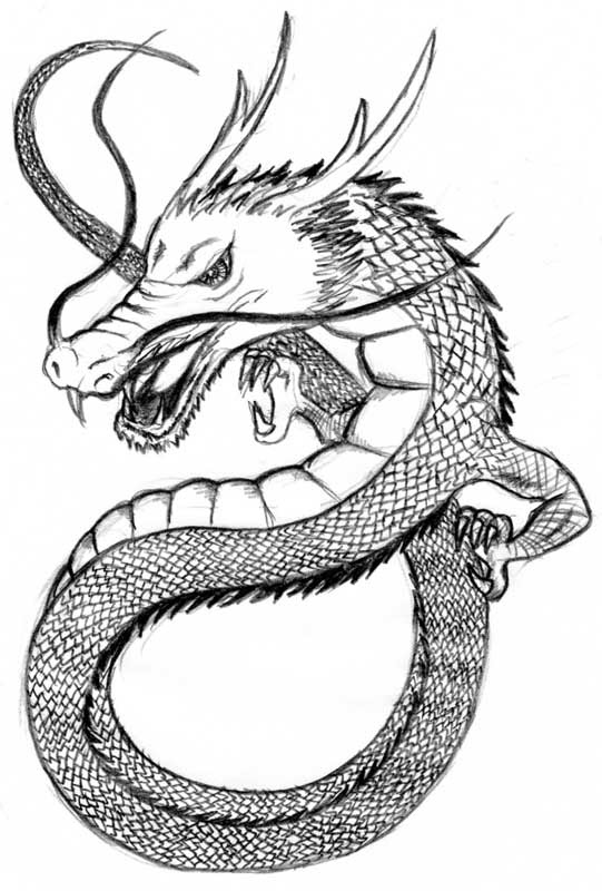ベストかっこいい 龍 イラスト 簡単 書き方 すべての動物画像