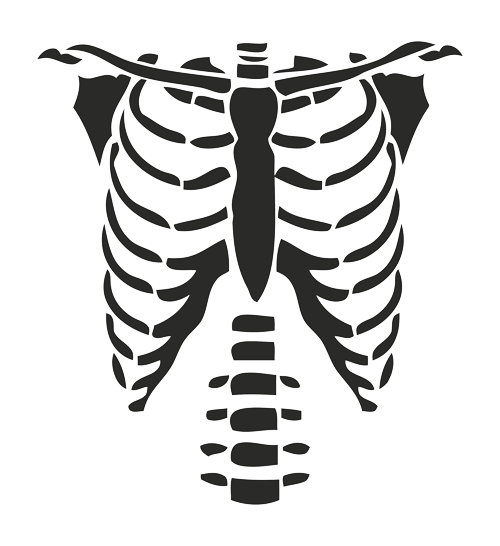 St first glance it's hard to rib cage stencil | etsy. T Shirt Rib Cage Roblox Hoodie T Shirt Png Download 500 546 Free Transparent Tshirt Png Download Clip Art Library