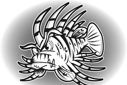 saddleback clownfishes coloring page Allards clownfishes coloring page
download and print for free!