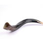 Listen: The Sleepless Shofar; The Shofar's Two Names