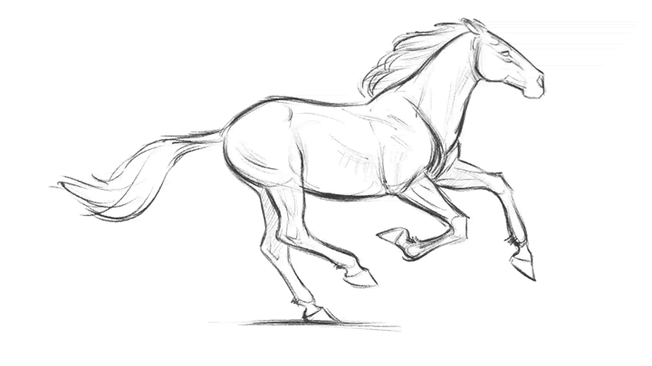 How To Draw A Horse Running Step By Step