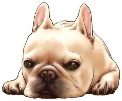 最高のフレンチブルドッグ イラスト 最高の動物画像