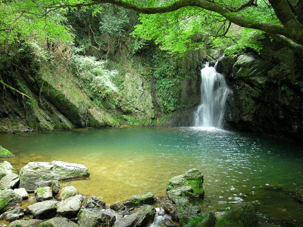 すべての美しい花の画像 50 風景 自然 壁紙 高 画質