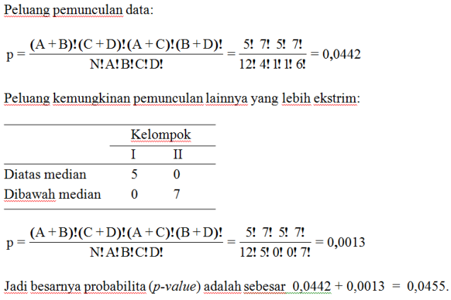 Contoh Karangan Observasi - Miharu Hime