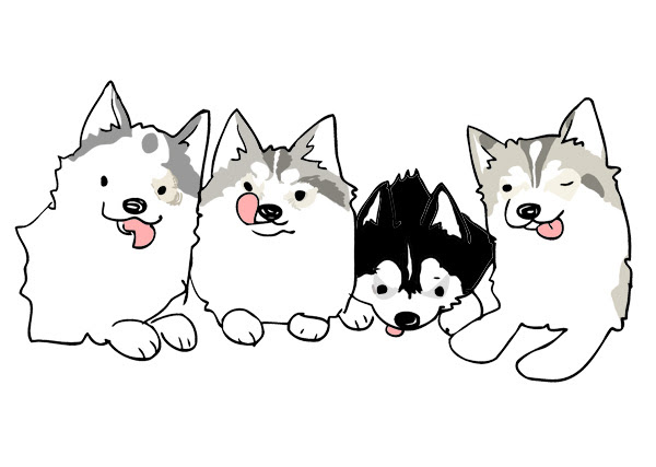 無料の動物画像 新鮮なシベリアンハスキー イラスト 簡単