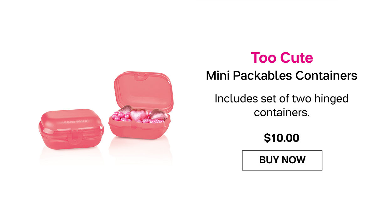 Mini Packables Containers