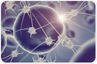 What are DNA Nanomachines?