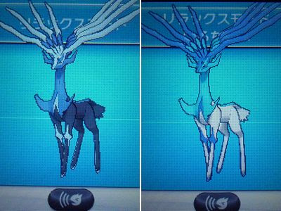 年のベスト ポケモン ゼル ネ アス 色 違い 検索画像の壁紙