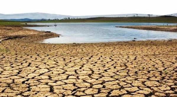 Estado está a falhar no combate à desertificação