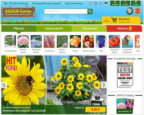 Gewöhnlich versandfertig in 6 bis 10 tagen. Baldur Garten Blumen Pflanzenversand No 1 Gartencenter Onlineshop