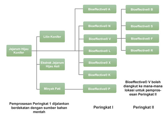 Kesan Sampingan Gastrik - Pemudi b