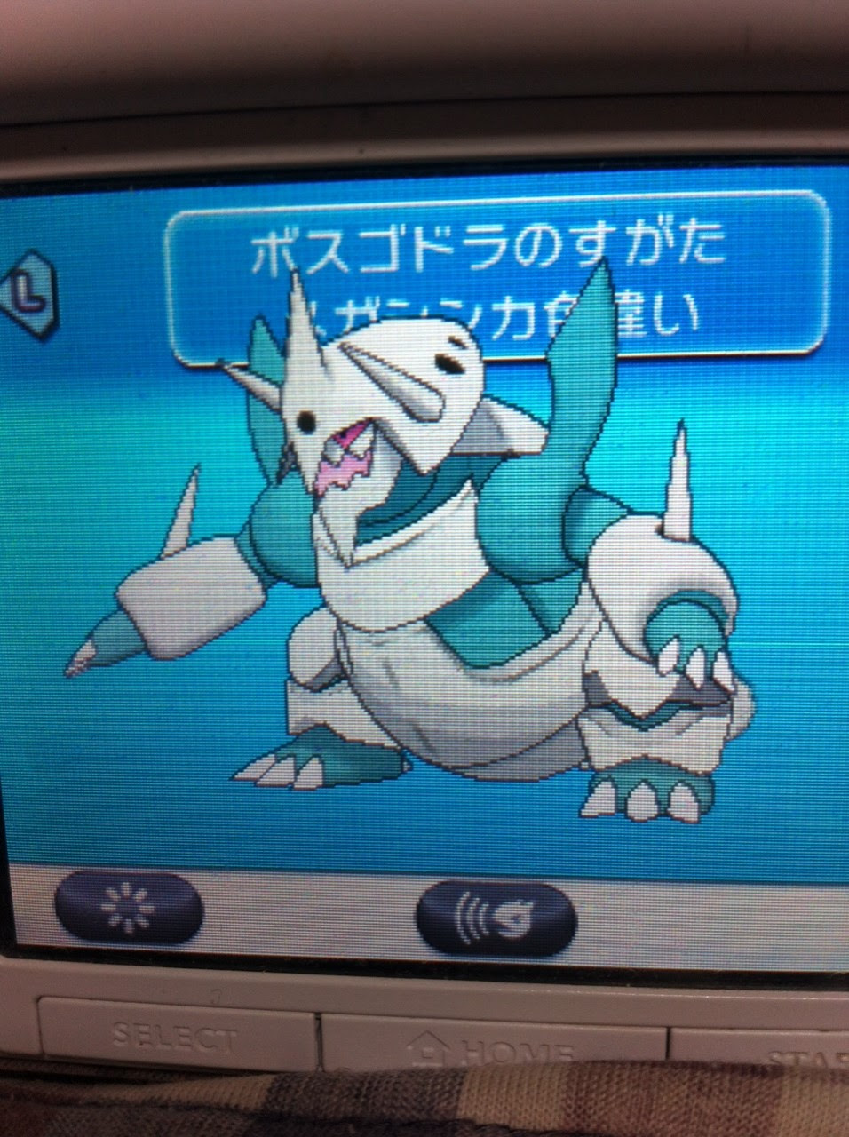 ユニークポケモン Xy ボスゴドラ ただぬりえ
