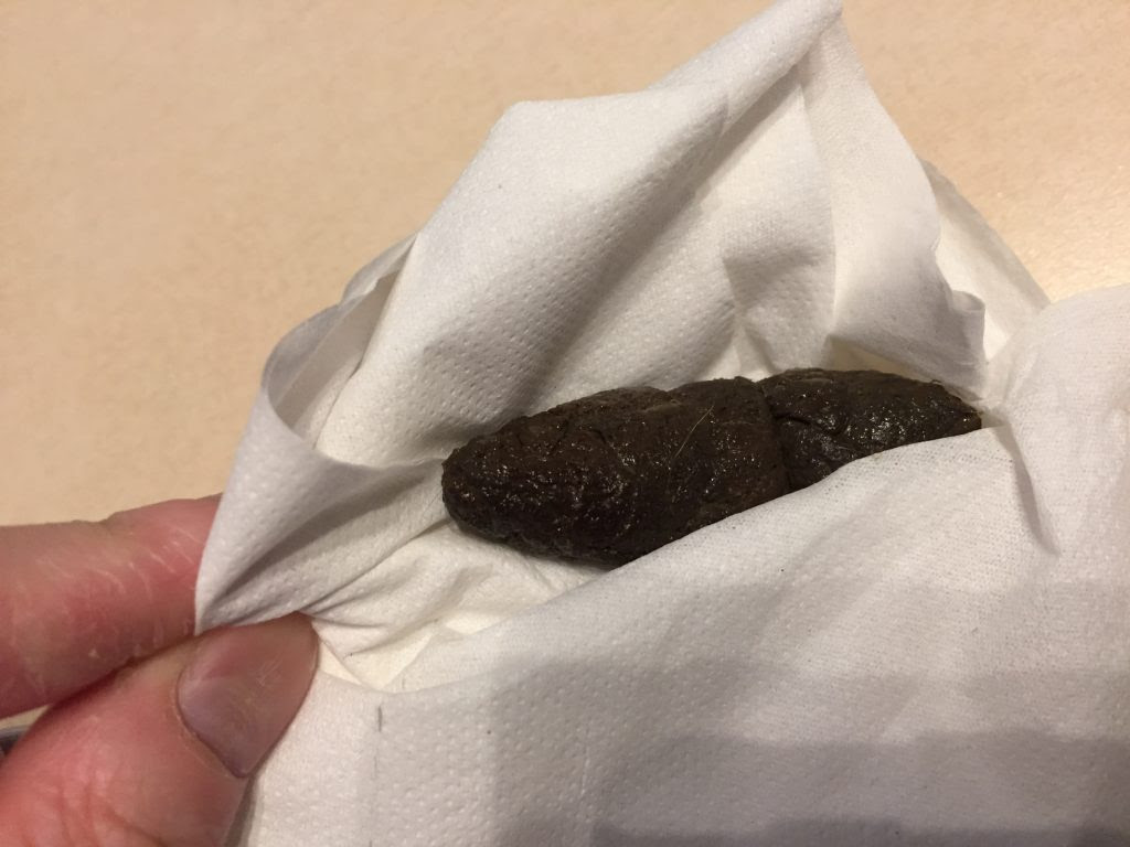 最新 犬 黒いウンチ 犬 黒いうんち 薬 Freemuryomgsd0s