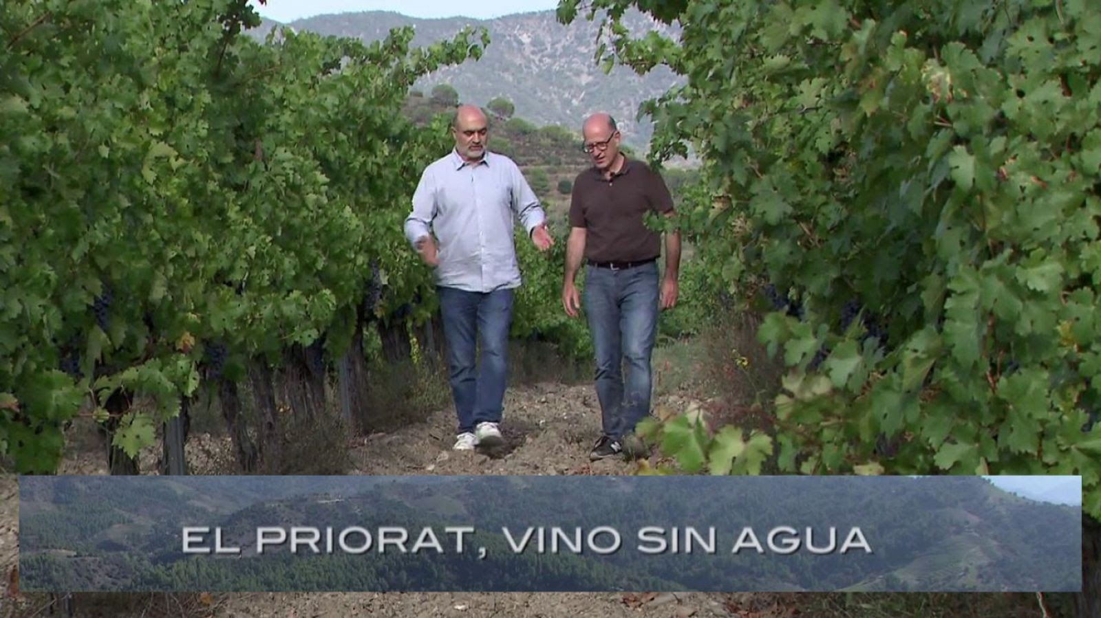 El escarabajo verde - Priorato, vino sin agua - ver ahora