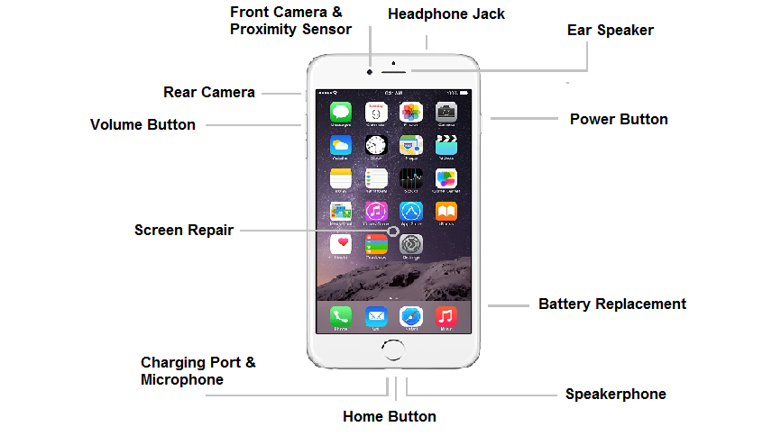Block diagram iphone 6 repair. Iphone Label Parts