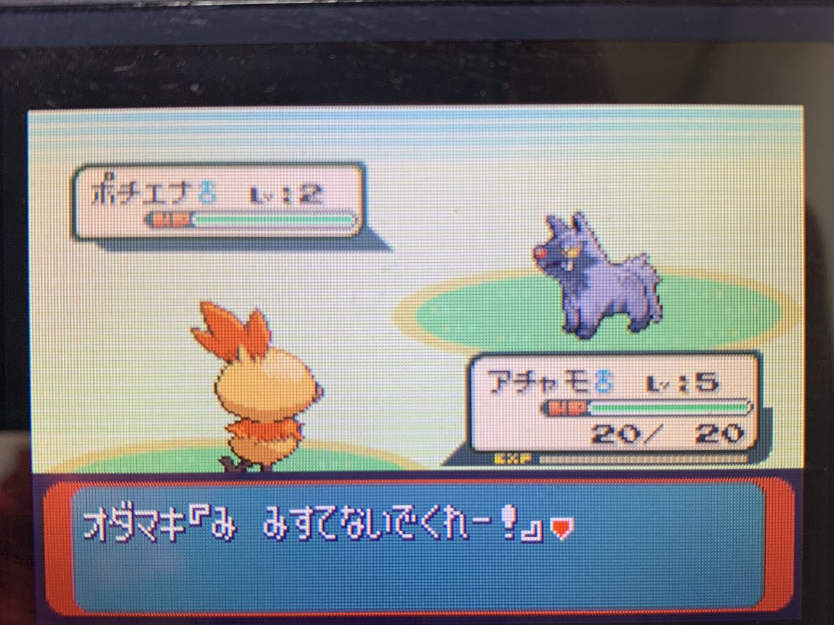 オメガルビー ゼブライカ 育成論