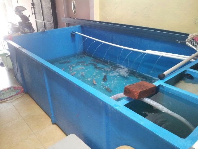  Harga  Bak Fiber Kolam  Ikan  Bandung KOLAMA