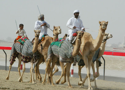 Check spelling or type a new query. Culture United Arab Emirates