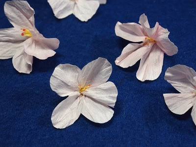 新鮮な和紙 花 作り方 簡単 すべての美しい花の画像