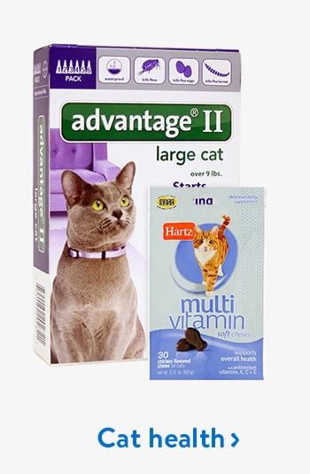 Cat health products 