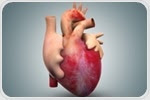 Training heart cells in culture to mimic human cardiac tissue