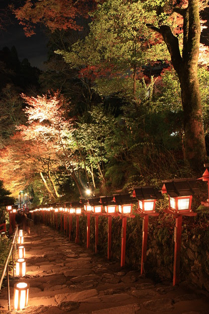 最高の神社 壁紙 スマホ 最高の花の画像