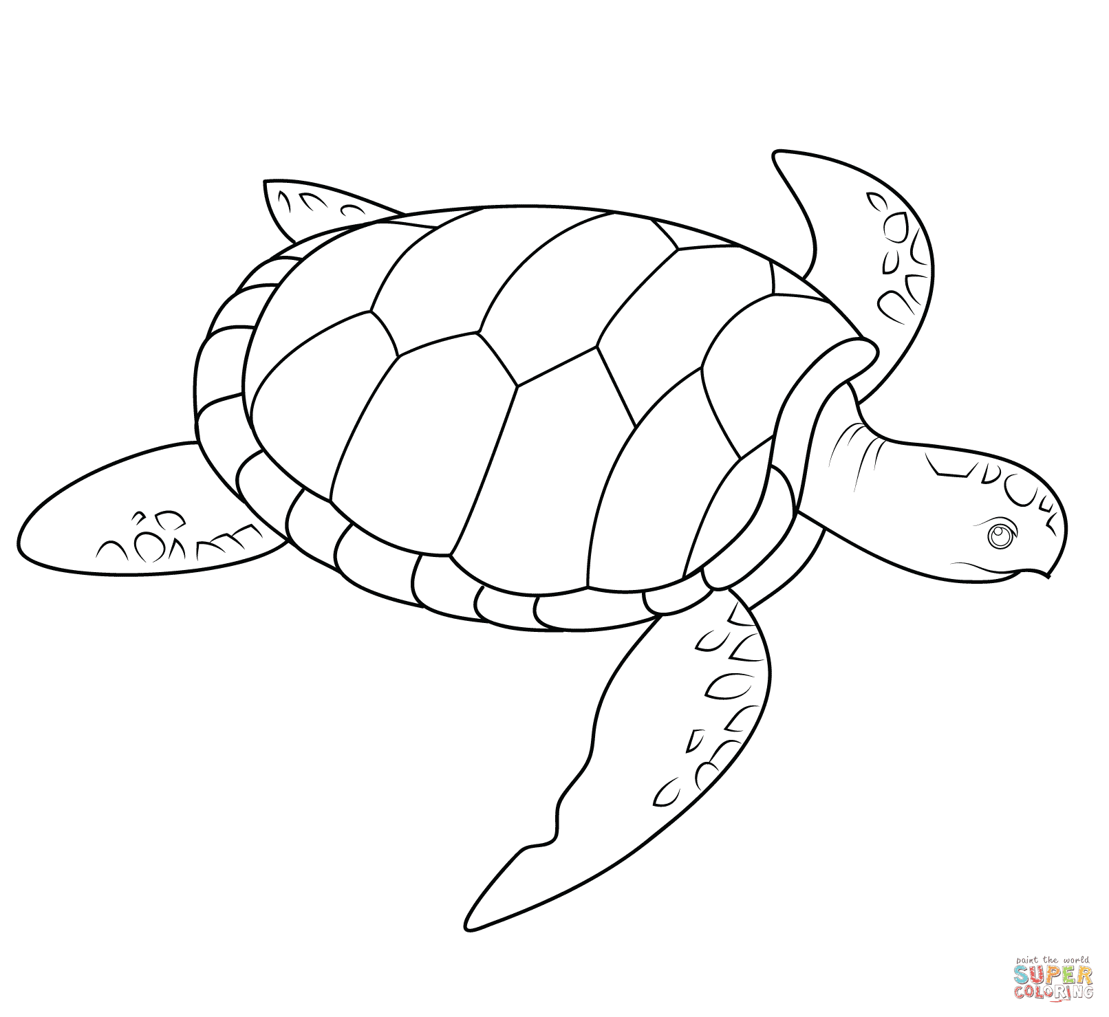 Sea turtles are a glorious creature. Sea Turtle Coloring Page Free Printable Coloring Pages