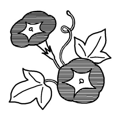 無料でダウンロード 朝顔 イラスト 白黒 2725 イラスト 無料 朝顔 白黒 Blogerjokiocuab