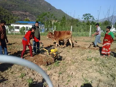 Modern way of Tillage Operation in hilly region of Nepal.  Photo: by BTL #Minitiller