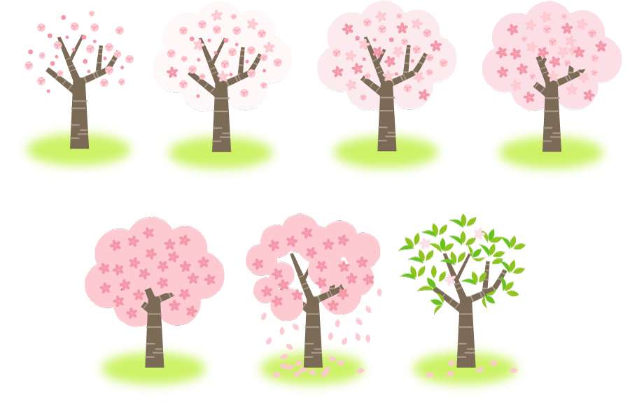 人気のダウンロード 桜の 木 イラスト 無料 興味深い画像の多様性