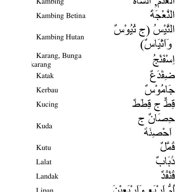 Bahasa Arab Nya Nama Saya