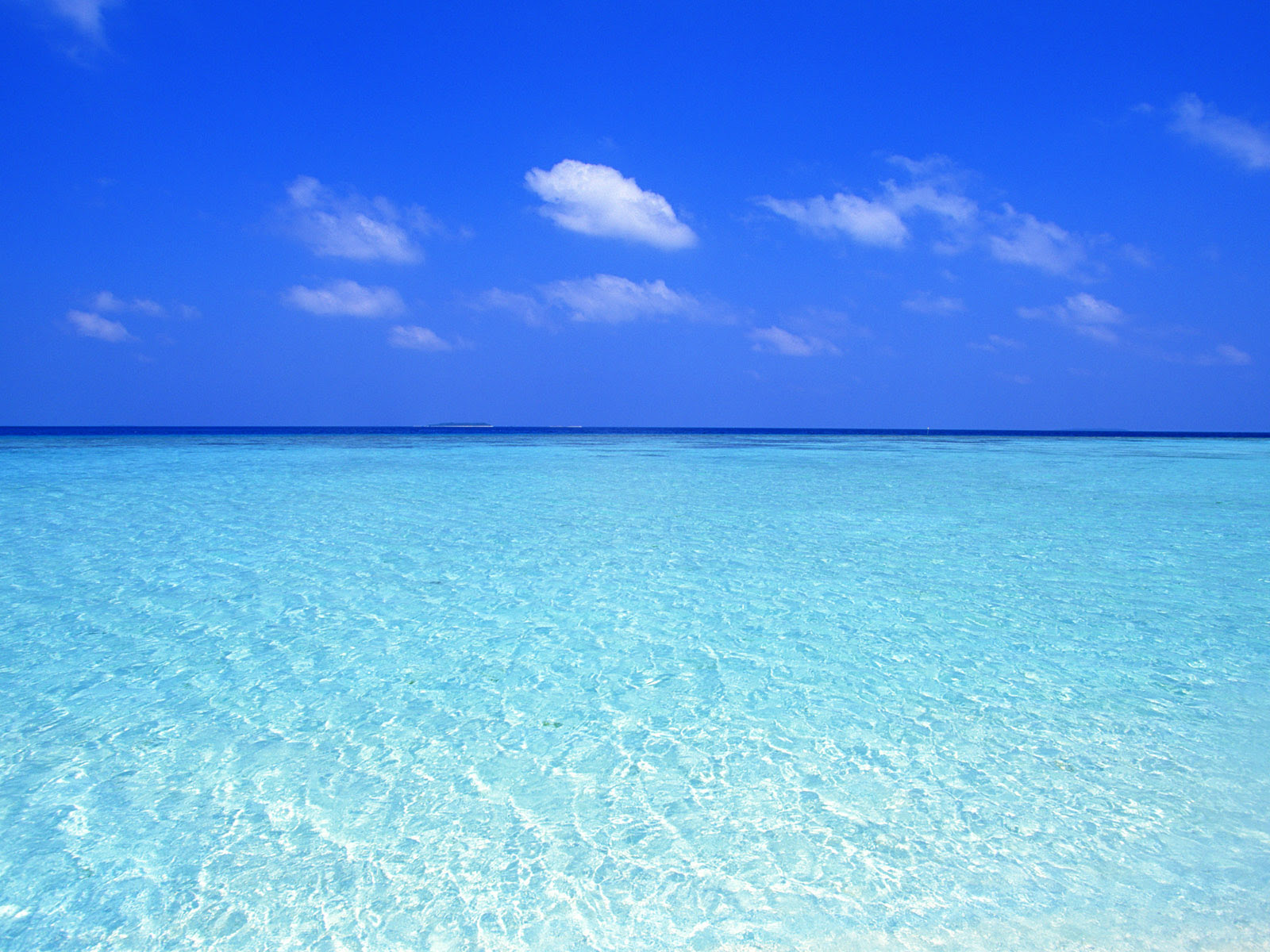 ディズニー画像ランド 新鮮な海 壁紙 無料