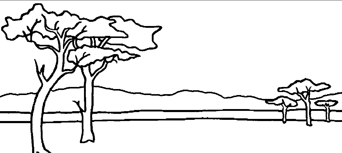Acacia, commonly known as the wattles or acacias, is a large genus of shrubs and trees in the subfamily mimosoideae of the pea family fabaceae. Clip Art Library