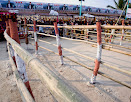 Kapil Muni Temple,Gangasagar