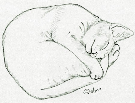 99以上 眠り猫 イラスト 眠り猫 イラスト 書き方
