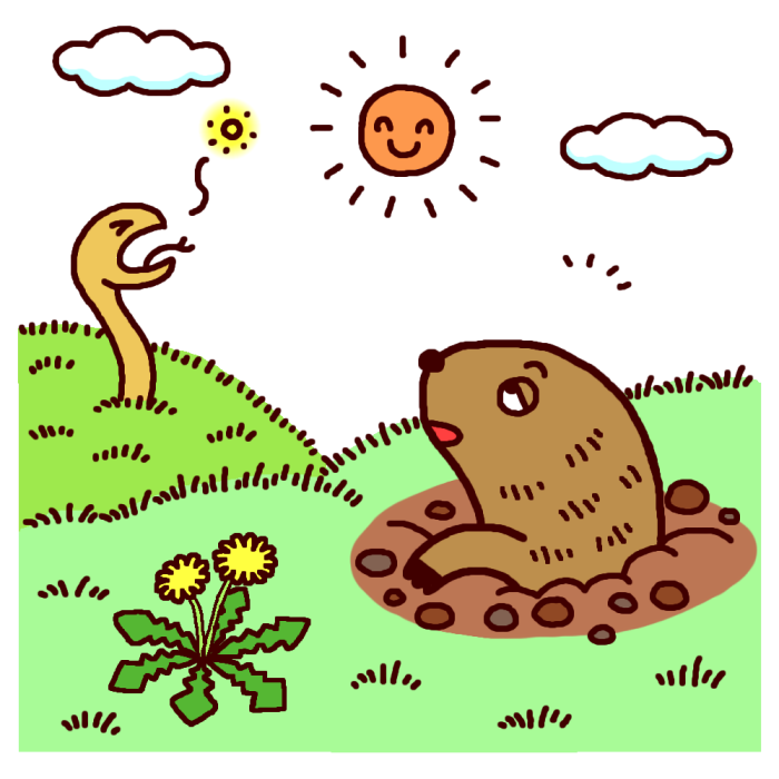 50 モグラ イラスト 無料 動物ゾーン