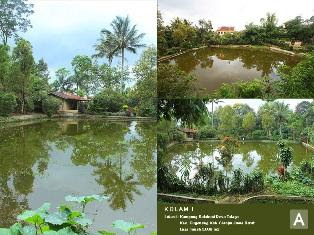 Pijat Refleksi Di Cirebon - Pijat Gaol