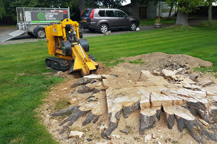 Depending on your budget and where the stump is located will determine the best approach to take. Edinburgh Stump Removal