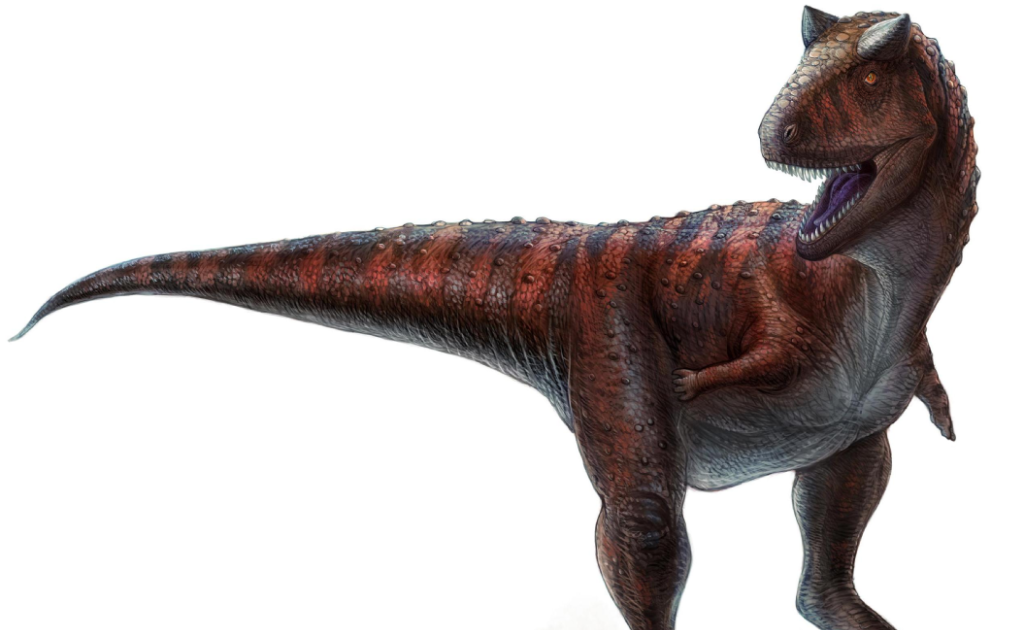 印刷可能 アロサウルス かっこいい リアル 恐竜 イラスト