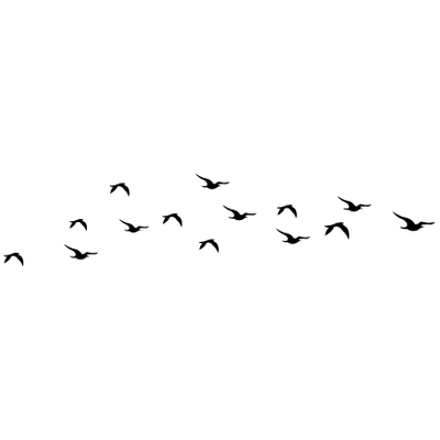 These are images without any background you can use in whatsapp, facebook messenger, wechat, twitter, tumblr or other messaging apps. Bird Silhouette Flying Transparent Png Stickpng