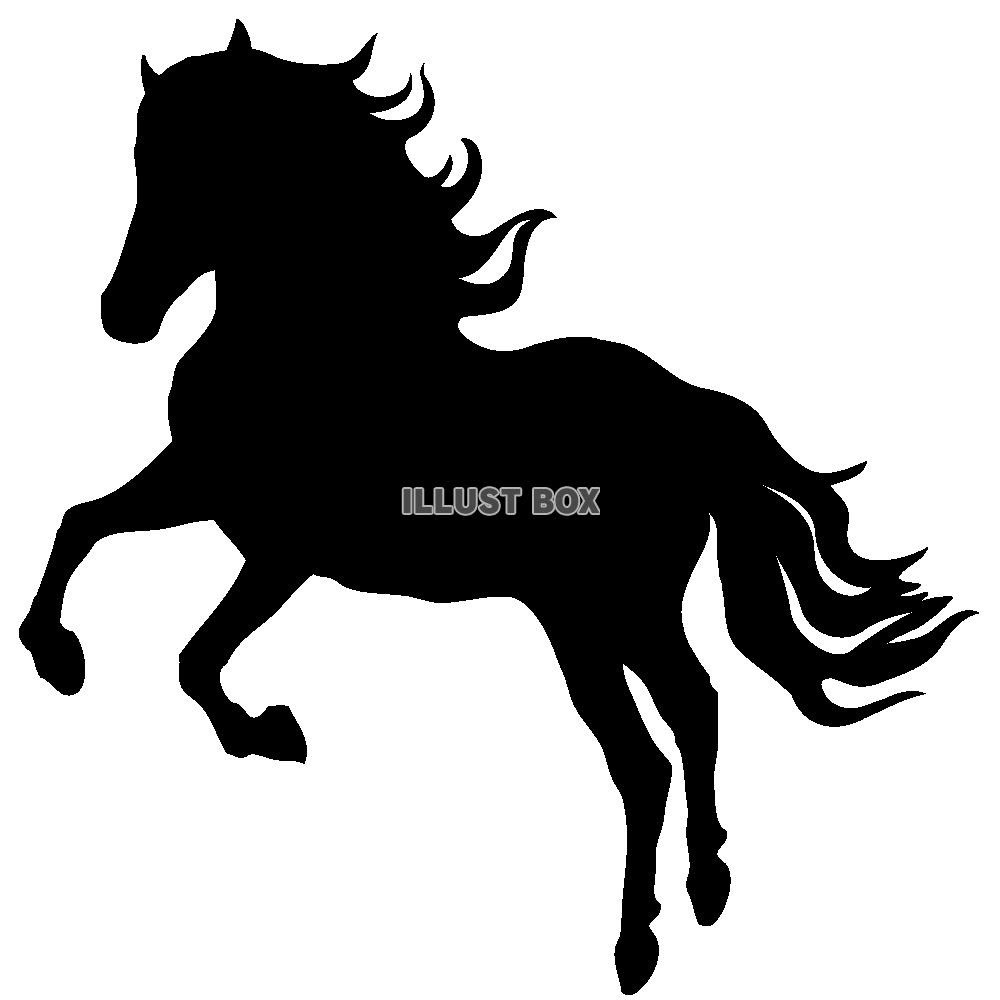 かっこいい 馬 カッコイイ 馬