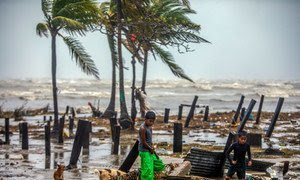 Unos niños buscan trozos de madera para ayudar a sus padres a reconstruir su casa después de que fuera destruida por los fuertes vientos del huracán Iota en Nicaragua.