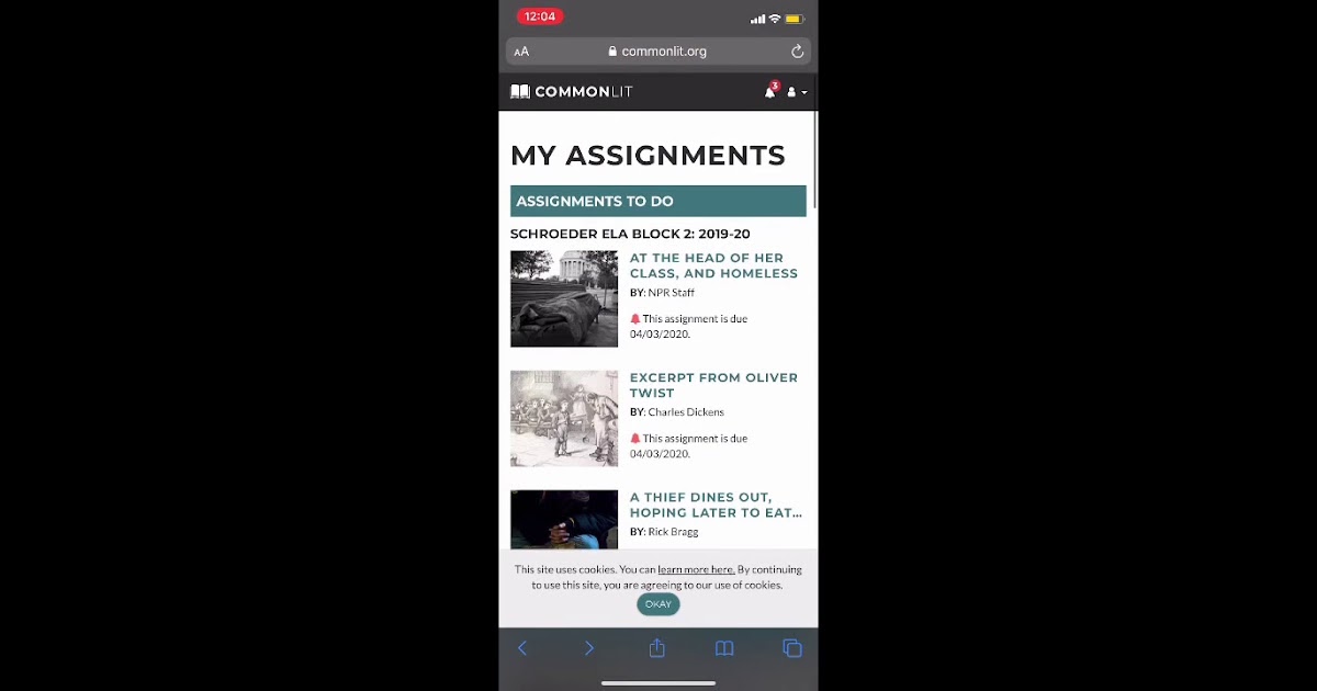 Commonlit Answers Quizlet Would You Marry A Stranger ...