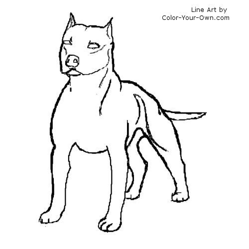 Use this lesson in your classroom, homeschooling curriculum or just as a fun kids activity that you as a parent can do with your child. American Pit Bull Or American Staffordshire Terrier Dog Coloring Page